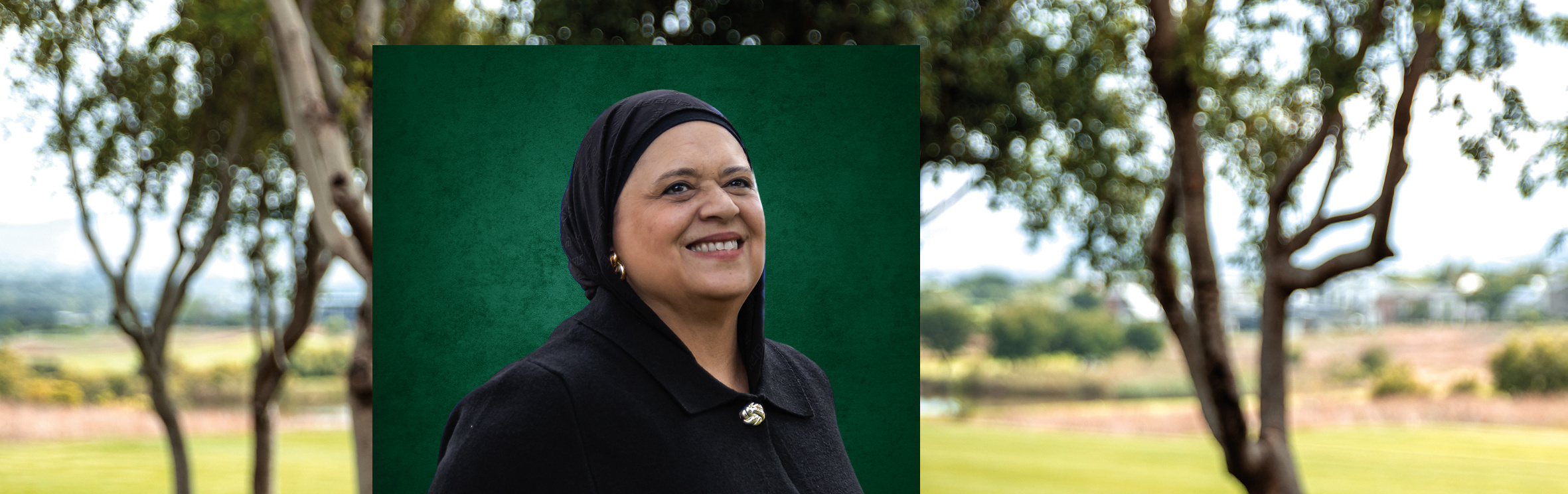 Your local property sales and rentals specialist in Copperleaf, Willow Brook Estate 