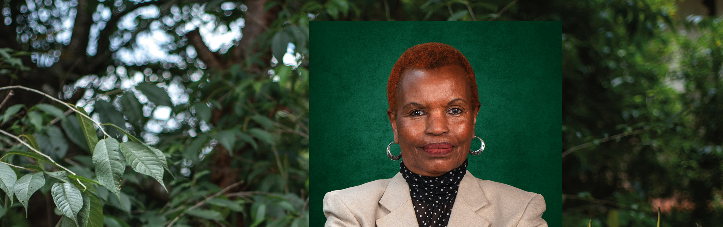 Your local property sales and rentals specialist in Kyuna , Loresho, Lower Kabete