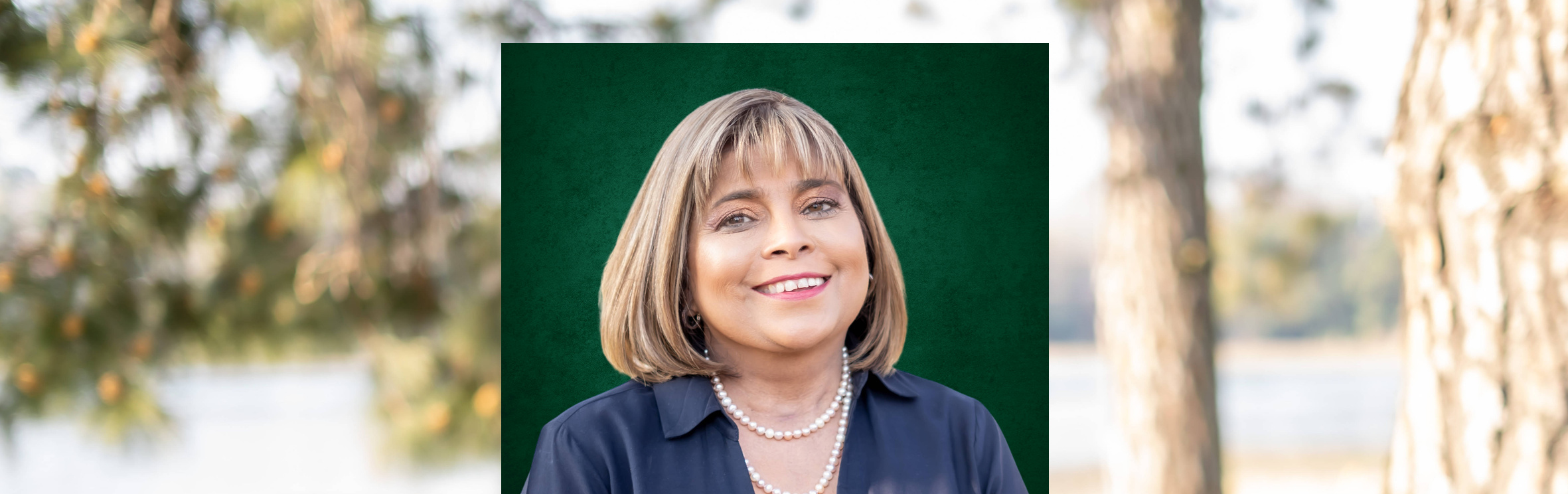 Your local property sales and rentals specialist