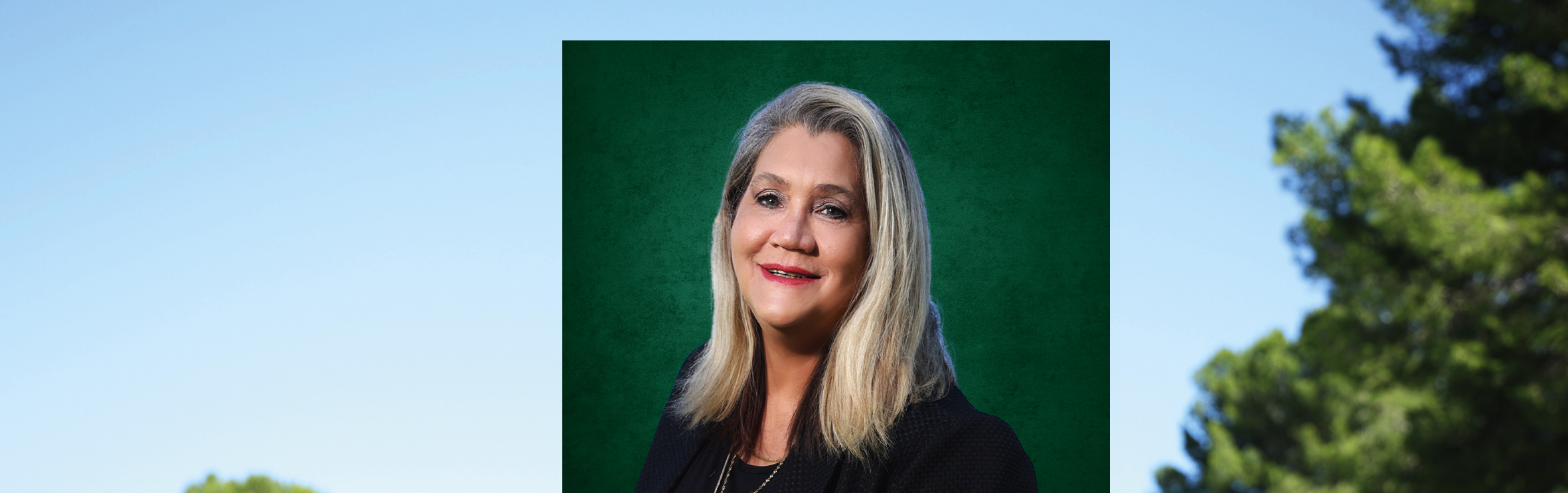 Your local property sales and rentals specialist in Hillcrest