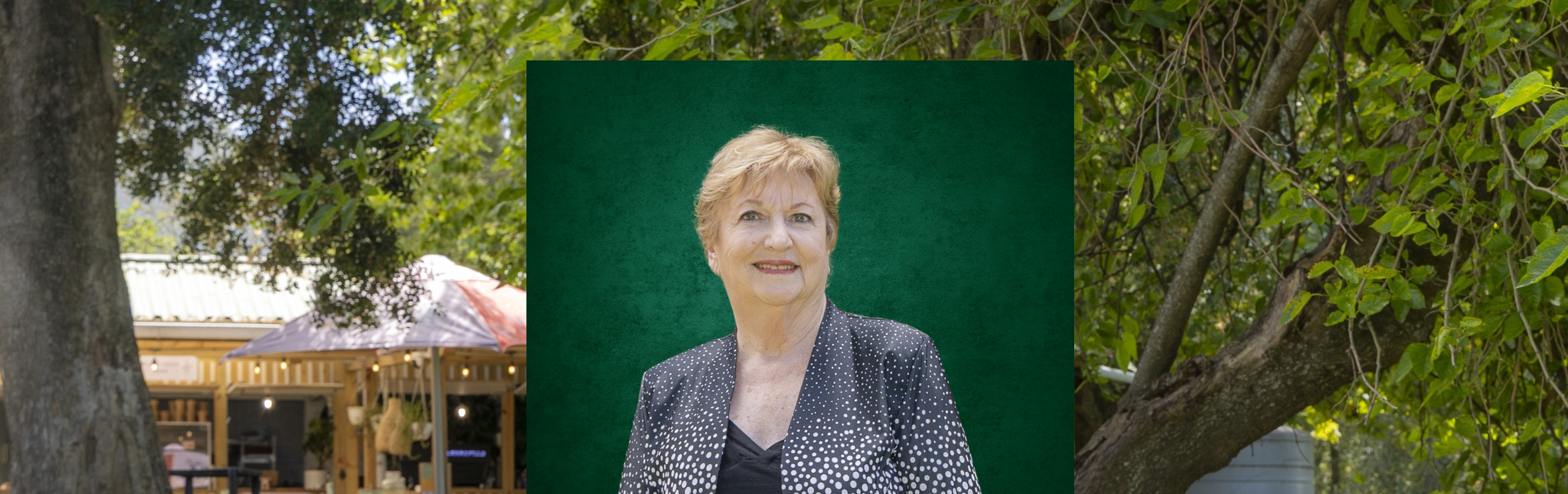 Your local property sales and rentals specialist in Blue Mountain