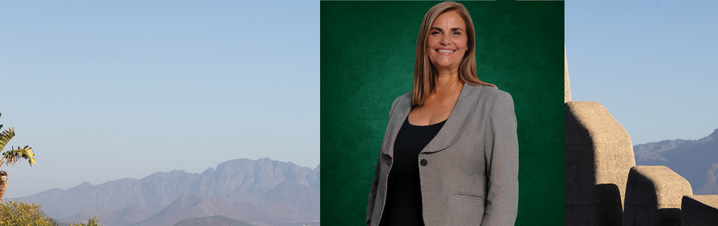 Your local property sales and rentals specialist