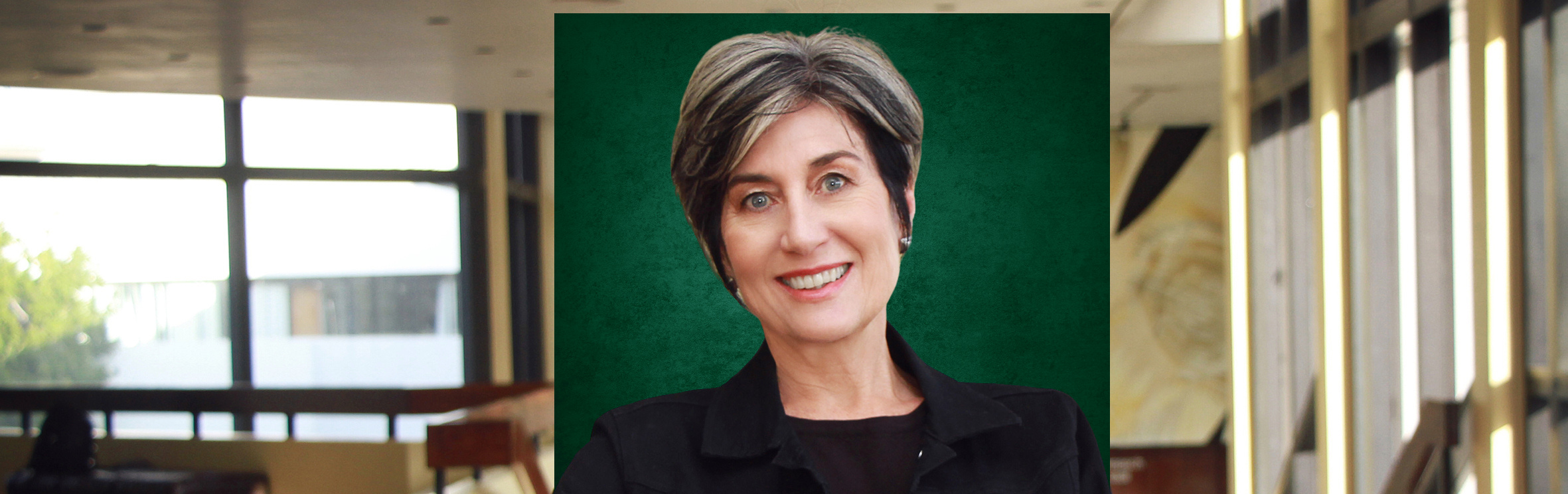 Your local property sales and rentals specialist in Stellenbosch