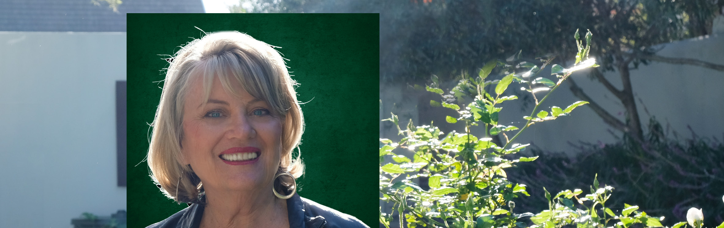 Your local property sales and rentals specialist in Gordons Bay, Somerset West, Strand