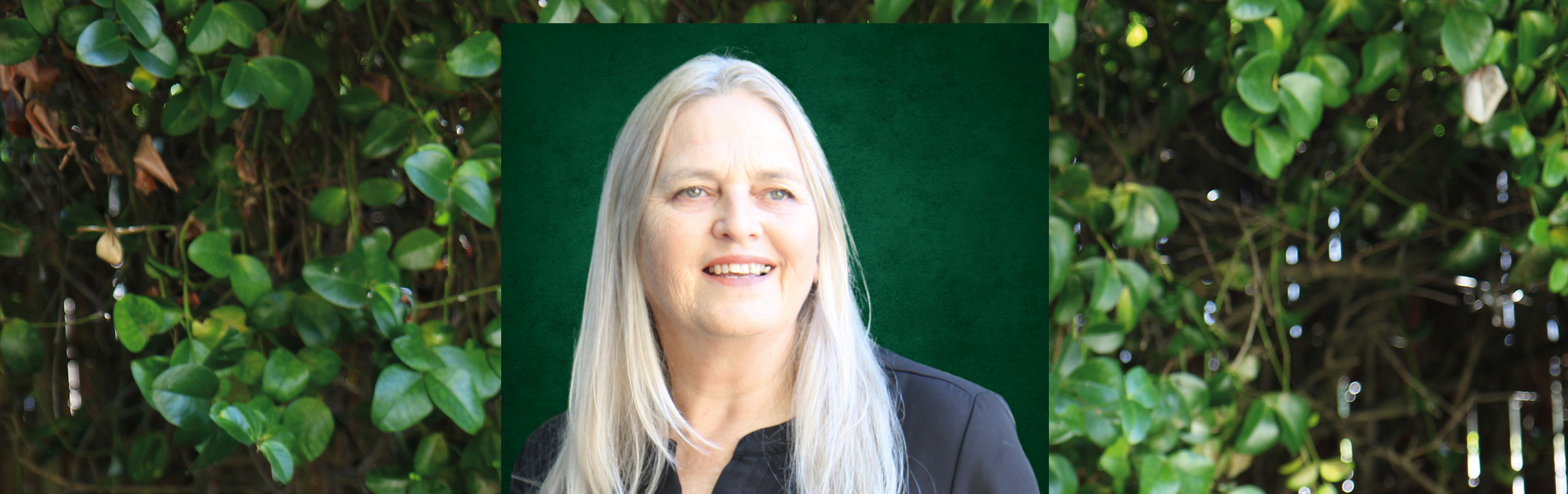 Your local property sales and rentals specialist in Sedgefield