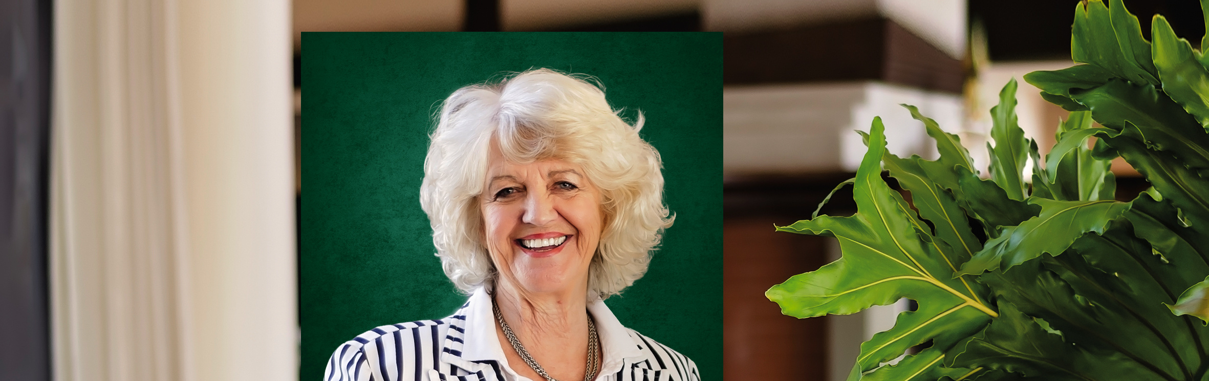 Your local property sales and rentals specialist in Hilton, Howick, Nottingham Road, Pietermaritzburg, Pietermaritzburg Central