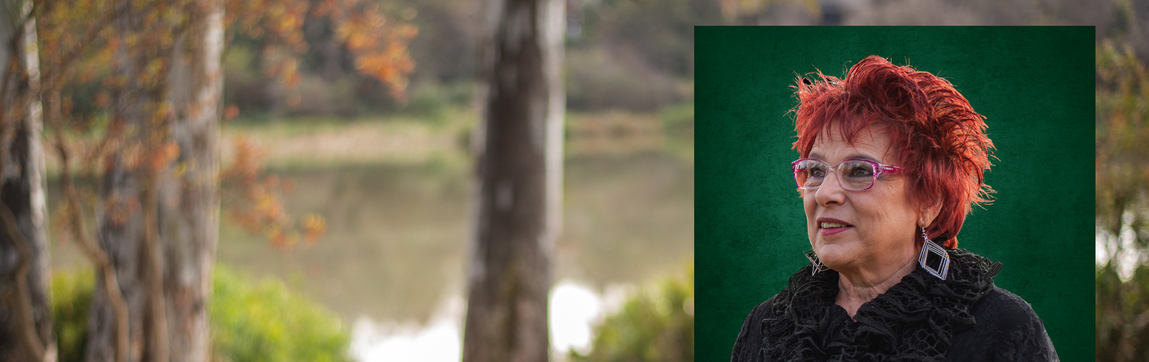 Your local property sales and rentals specialist in Elardus Park, Equestria, Erasmuskloof, Faerie Glen, Garsfontein, Moreleta Park, Pierre van Ryneveld, Pretorius Park, Rietvalleirand, Wingate Park