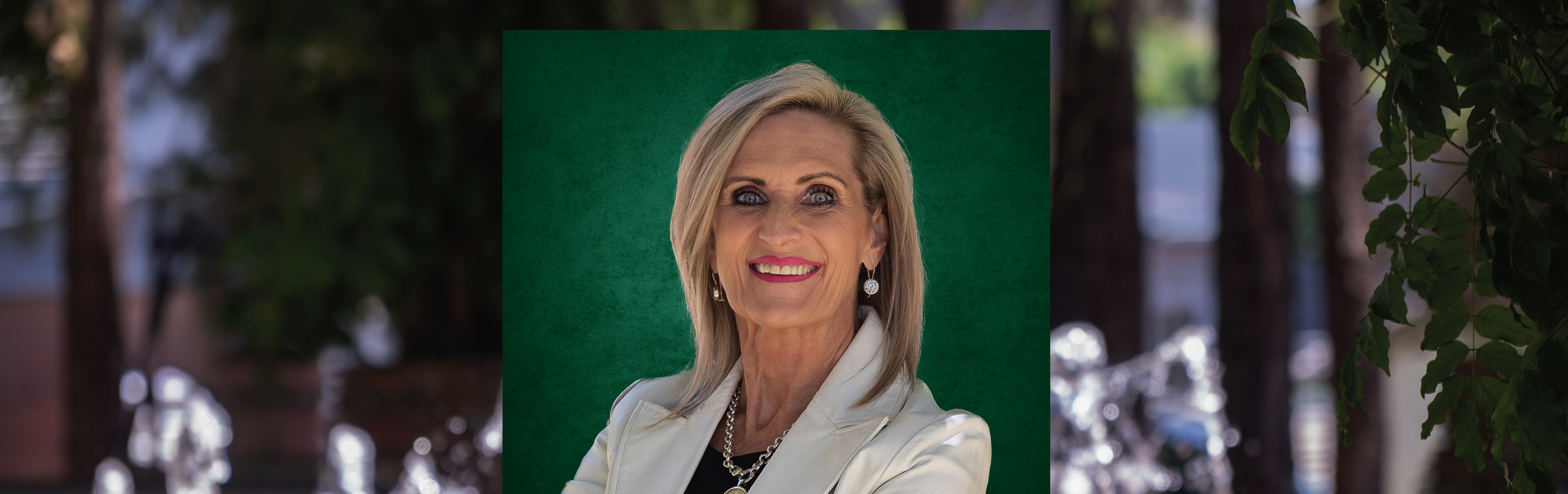 Your local property sales and rentals specialist in Albemarle, Albemarle Ext 2, Eye of Africa, Verwoerdpark