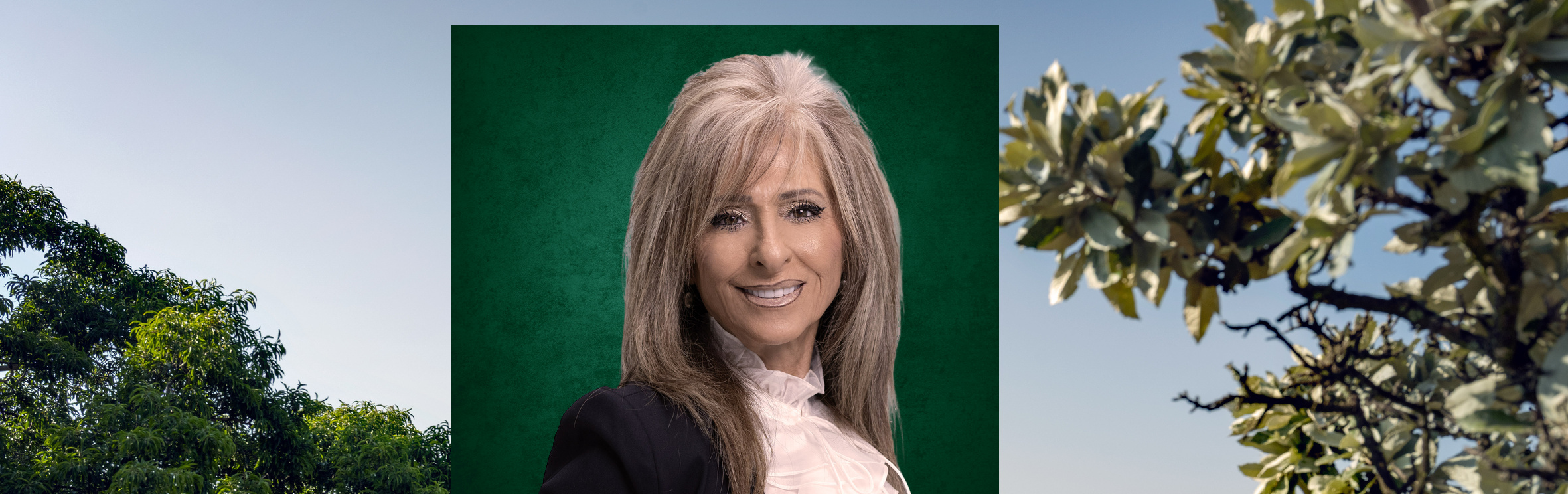 Your local property sales and rentals specialist in Abbotsford, Cheltondale, Fellside, Norwood, Oaklands, Orchards, The Gardens, Victoria, Waverley