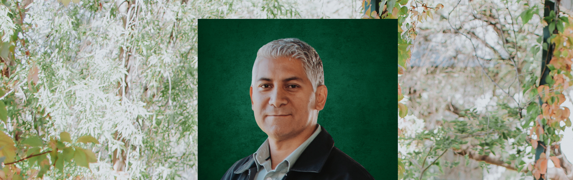 Your local property sales and rentals specialist