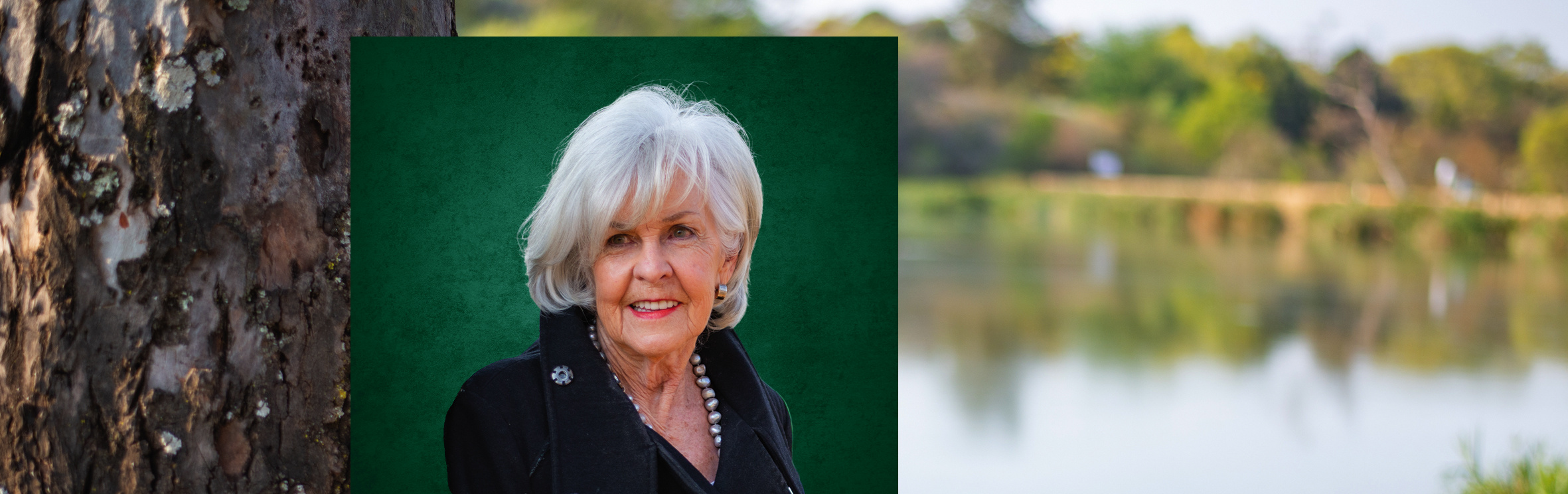 Your local property sales and rentals specialist in Brooklyn, Waterkloof