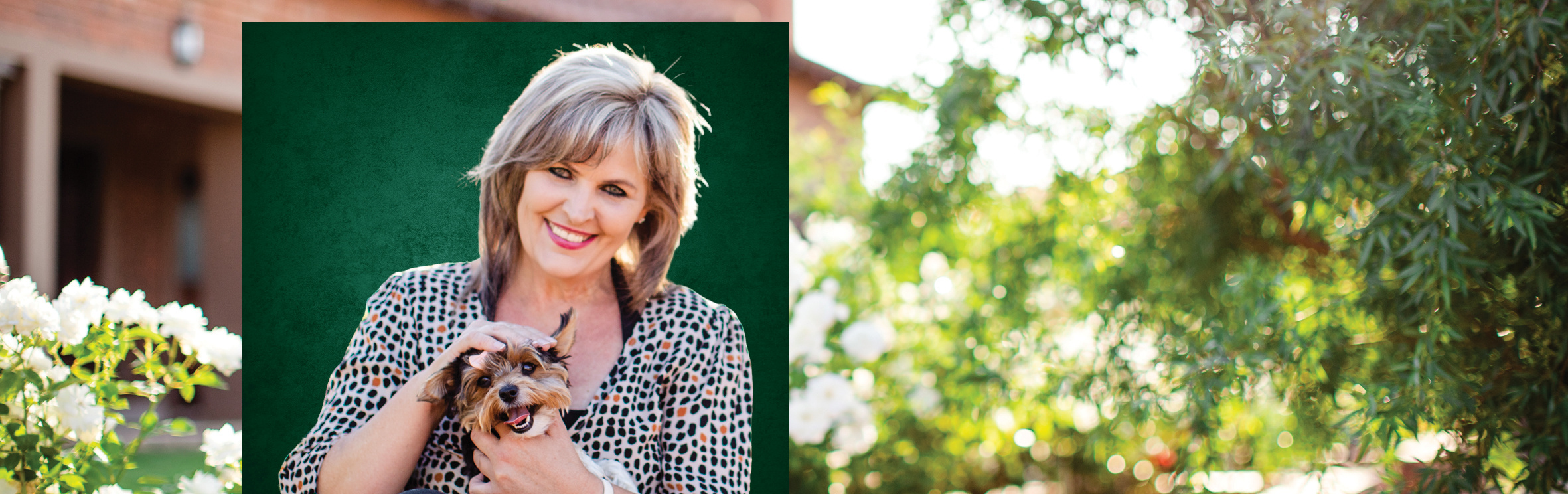 Your local property sales and rentals specialist in Bloemfontein