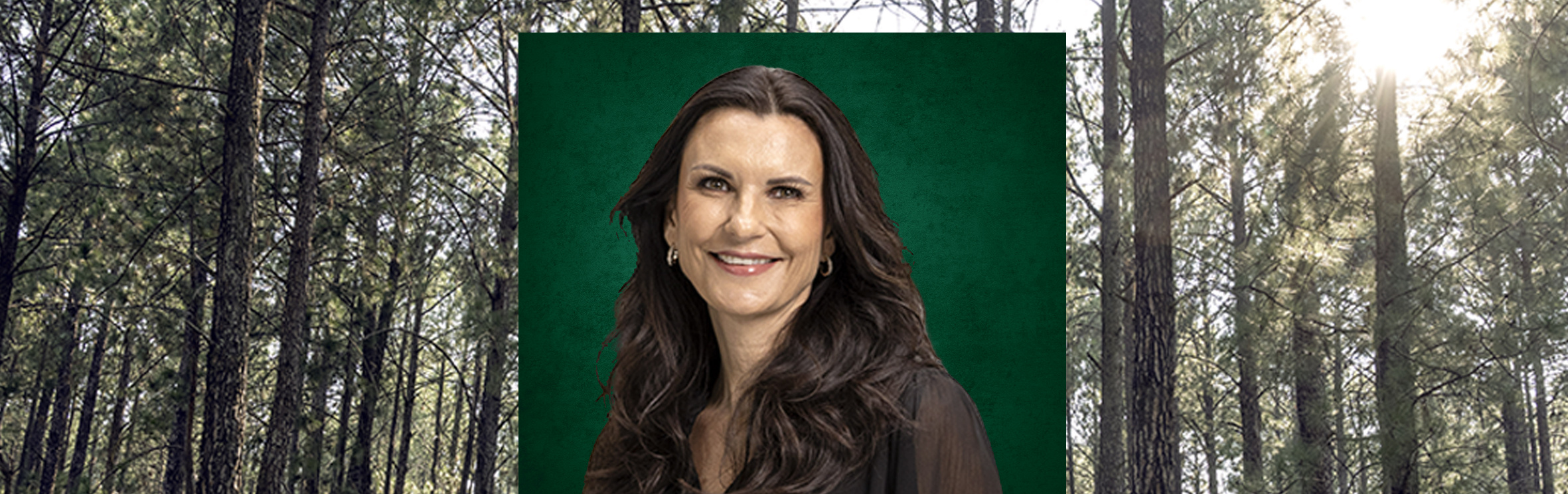 Your local property sales and rentals specialist in Beaulieu, Blue Hills Country Estate, Kyalami AH, Kyalami Estates, Kyalami Heights, Saddlebrook Estate, Waterfall Equestrian Estate