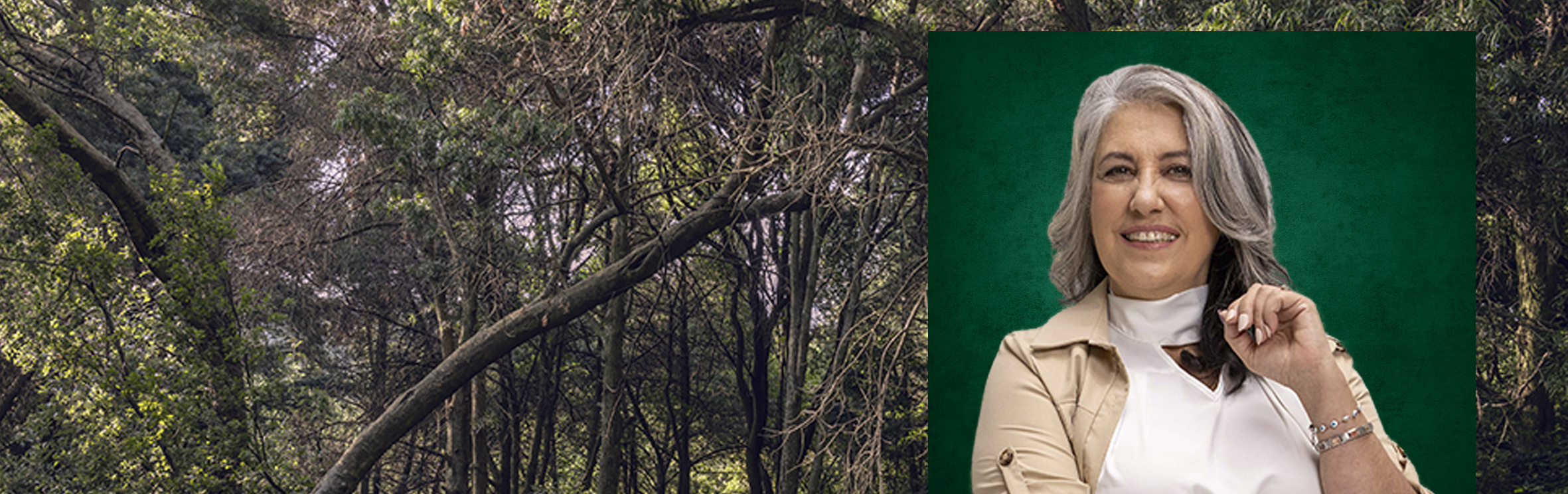 Your local property sales and rentals specialist in Amorosa, Honey Park, Ruimsig, Wilgeheuwel, Willowbrook