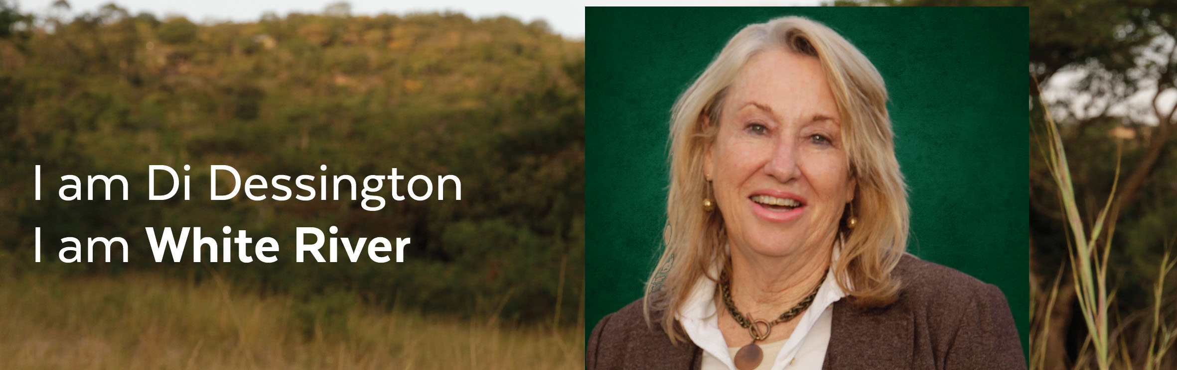 Your local property sales and rentals specialist in White River, White River Country Estate