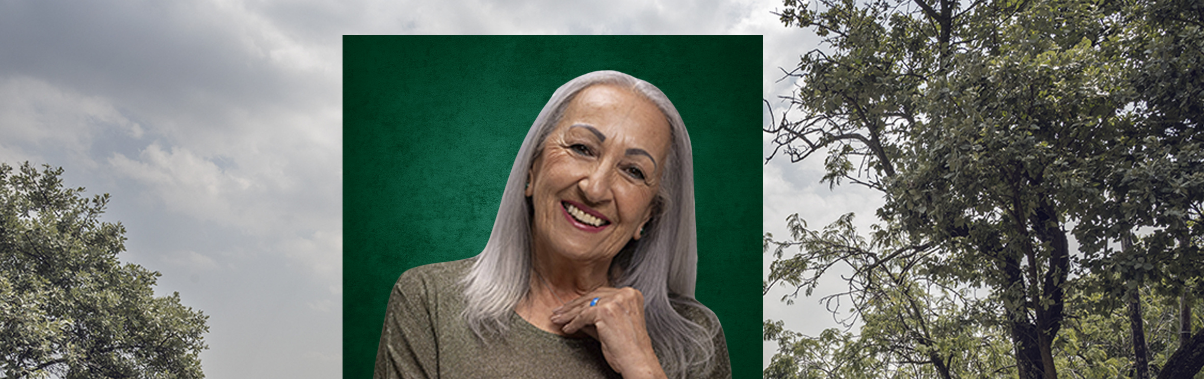 Your local property sales and rentals specialist in Bedfordview, Bedfordview Area