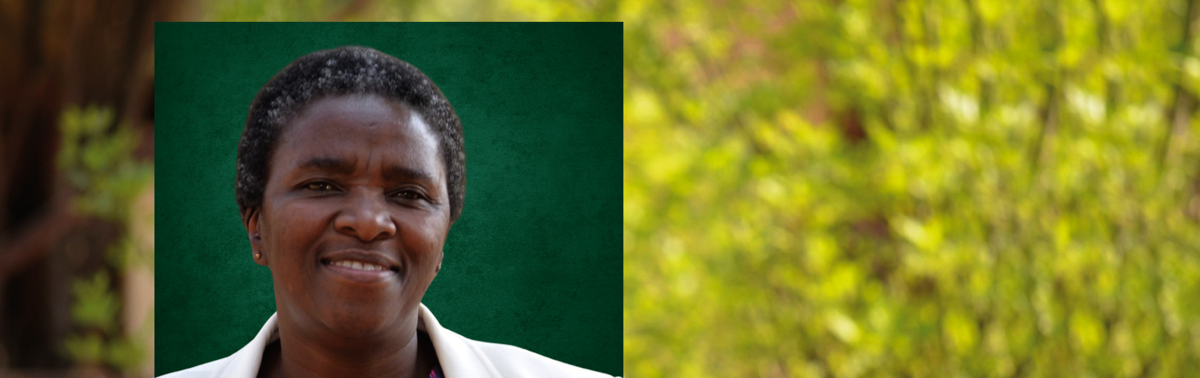 Your local property sales and rentals specialist