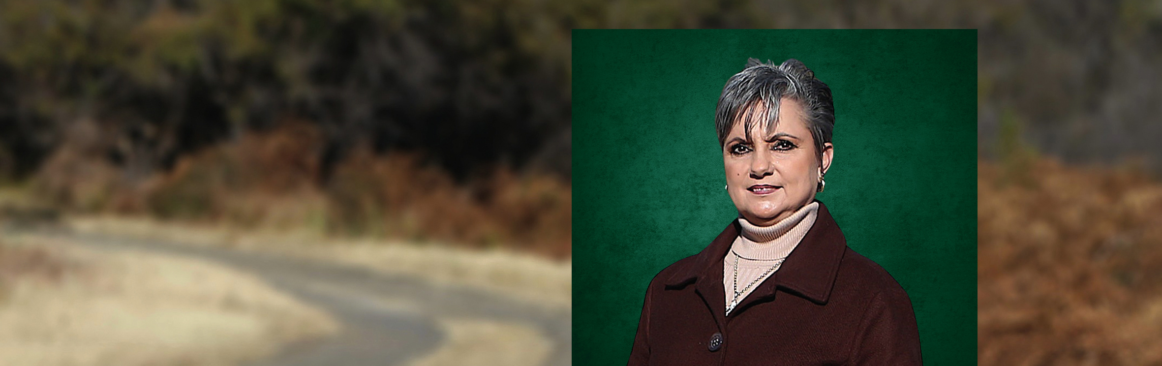 Your local property sales and rentals specialist