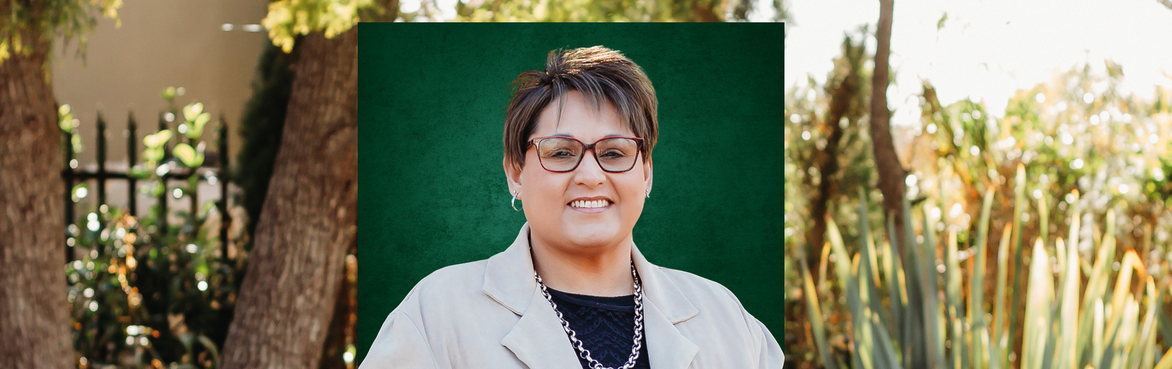 Your local property sales and rentals specialist in Middelburg (Mpumalanga)