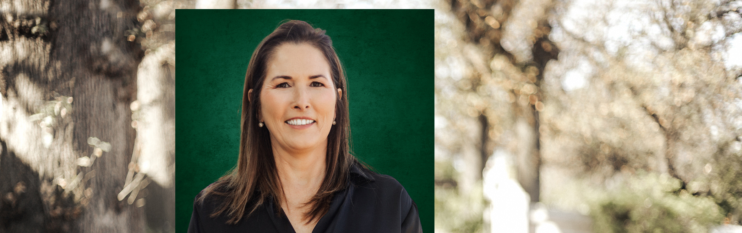 Your local property sales and rentals specialist