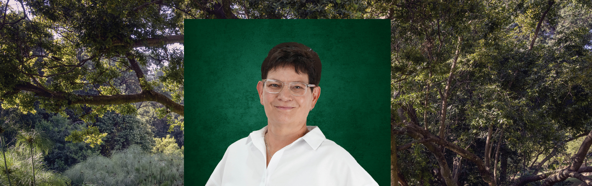 Your local property sales and rentals specialist in Germiston, Germiston South