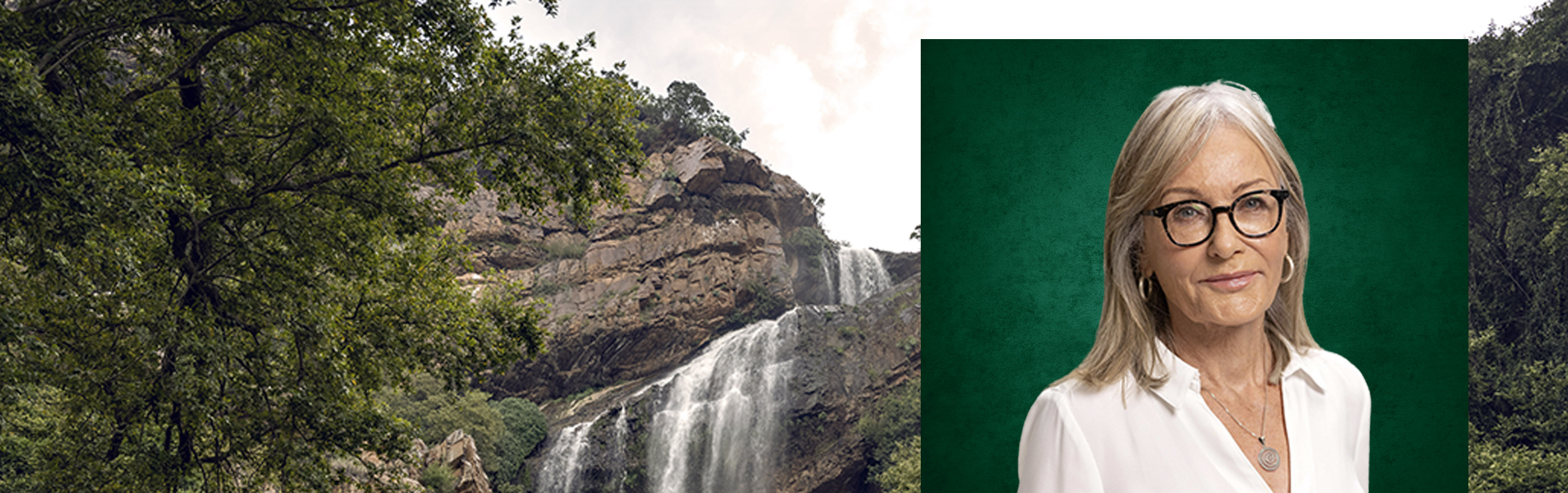 Your local property sales and rentals specialist in Poortview, Ruimsig, Willowbrook