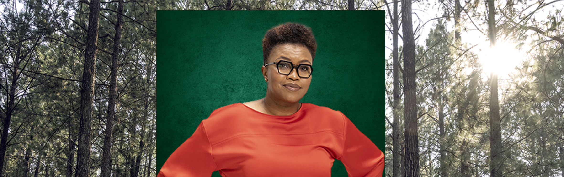 Your local property sales and rentals specialist