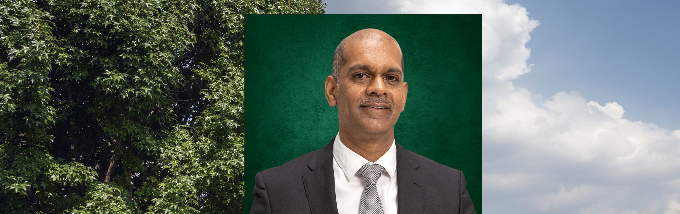 Your local property sales and rentals specialist in Johannesburg North, Jukskei Park, Olivedale