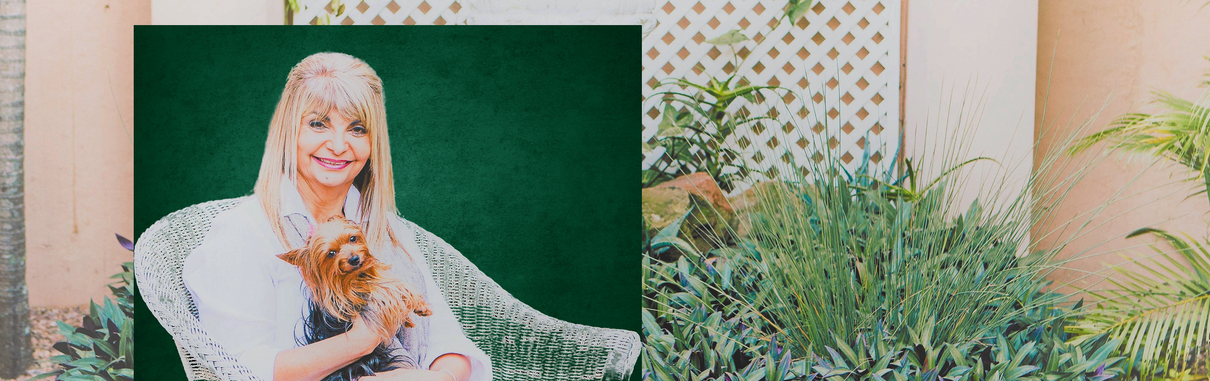 Your local property sales and rentals specialist in Durban North, Mount Edgecombe, Somerset Park, uMhlanga, uMhlanga Ridge, uMhlanga Rocks