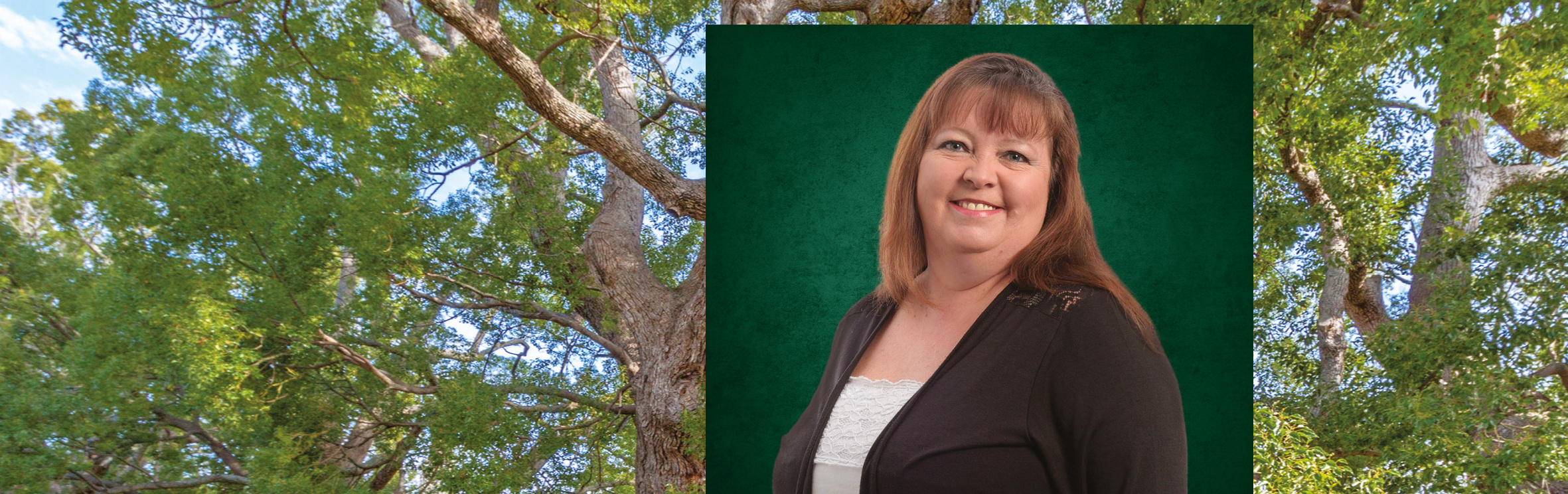 Your local property sales and rentals specialist in Gordons Bay, Somerset West, Strand