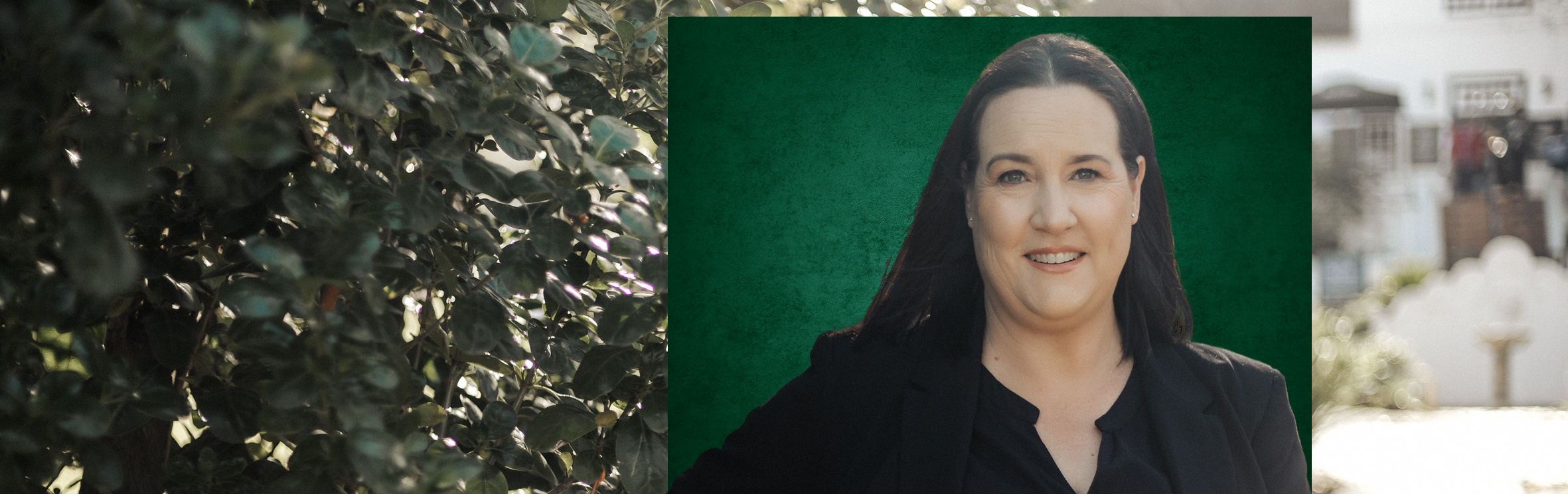 Your local property sales and rentals specialist in Paarl