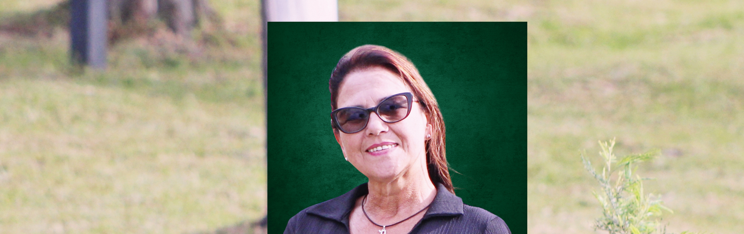 Your local property sales and rentals specialist