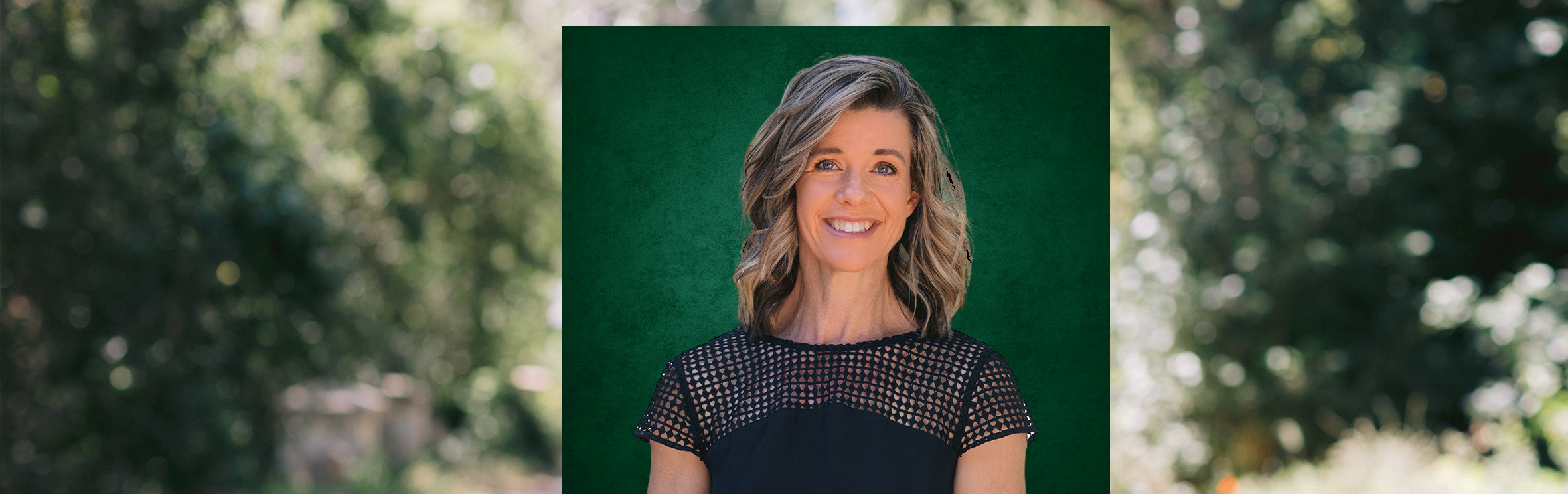 Your local property sales and rentals specialist in Chapman's Bay Estate, Noordhoek, Stonehaven Estate