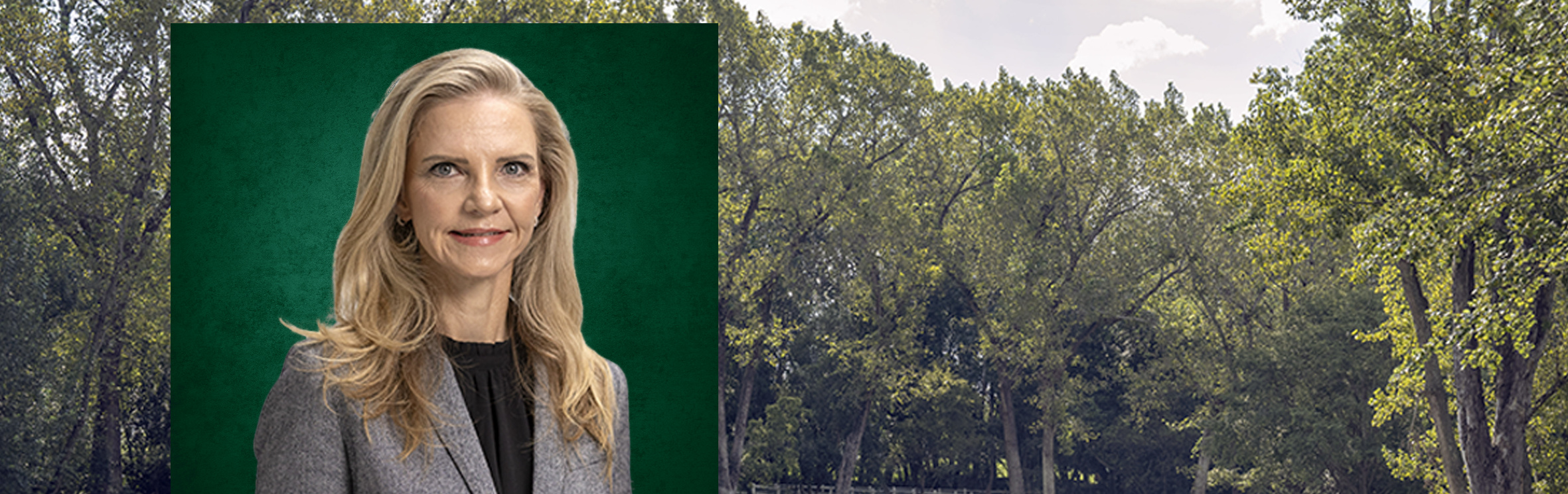 Your local property sales and rentals specialist in Beaulieu, Blue Hills Country Estate, Kyalami AH, Kyalami Estates, Kyalami Heights, Saddlebrook Estate, Waterfall Equestrian Estate