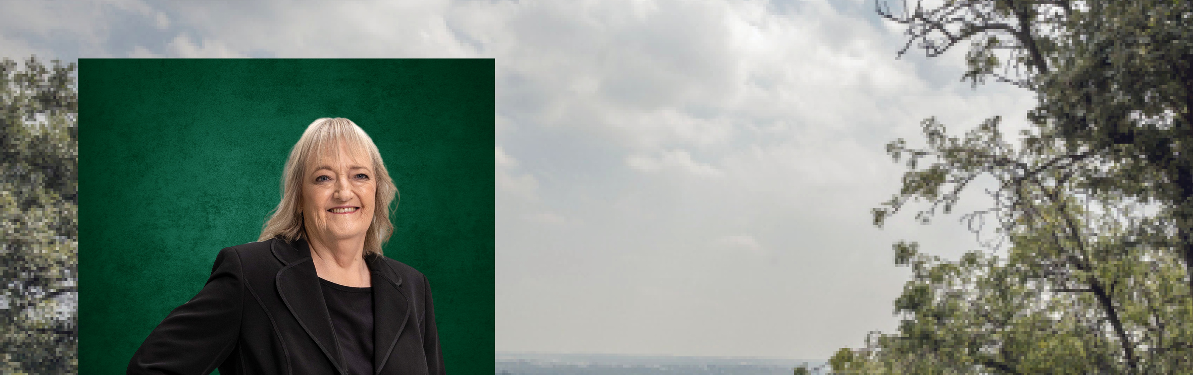 Your local property sales and rentals specialist in Bryanston, Bryanston East, Bryanston West