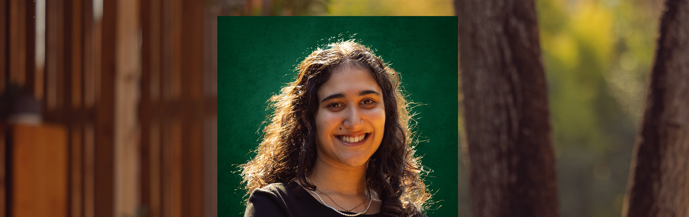 Your local property sales and rentals specialist in Beachfront Durban, Berea, Bulwer, Durban, Durban Central, Esplanade Durban, Essenwood, Glenmore, Glenwood, Manor Gardens, Morningside, Musgrave, North Beach Durban, Point Waterfront Durban, South Beach Durban, Umbilo, Windermere