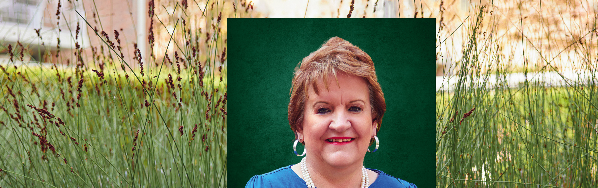 Your local property sales and rentals specialist