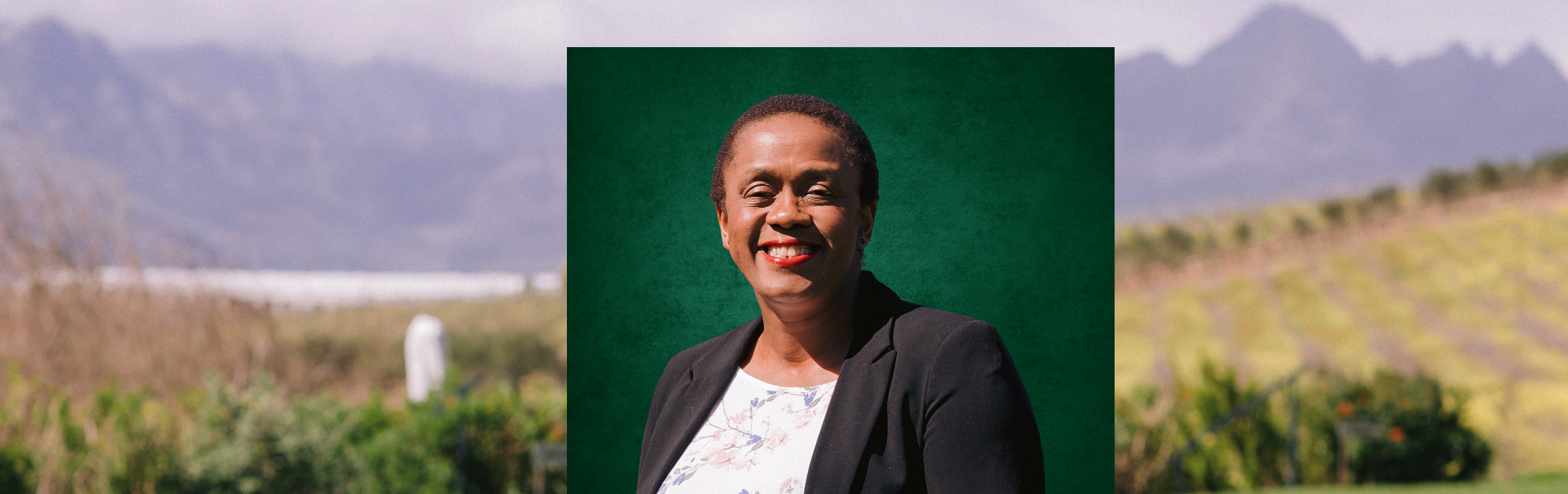 Your local property sales and rentals specialist in Bardale Village, Camelot, Hagley, High Gate, High Gate