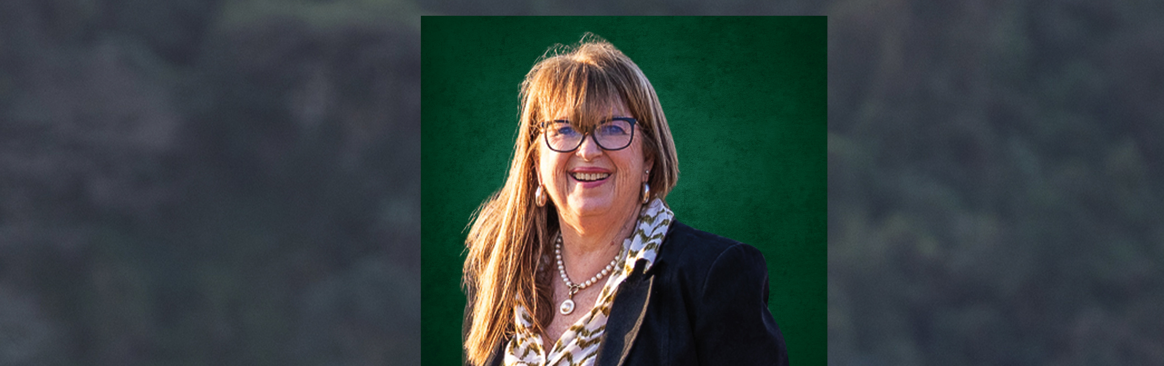 Your local property sales and rentals specialist