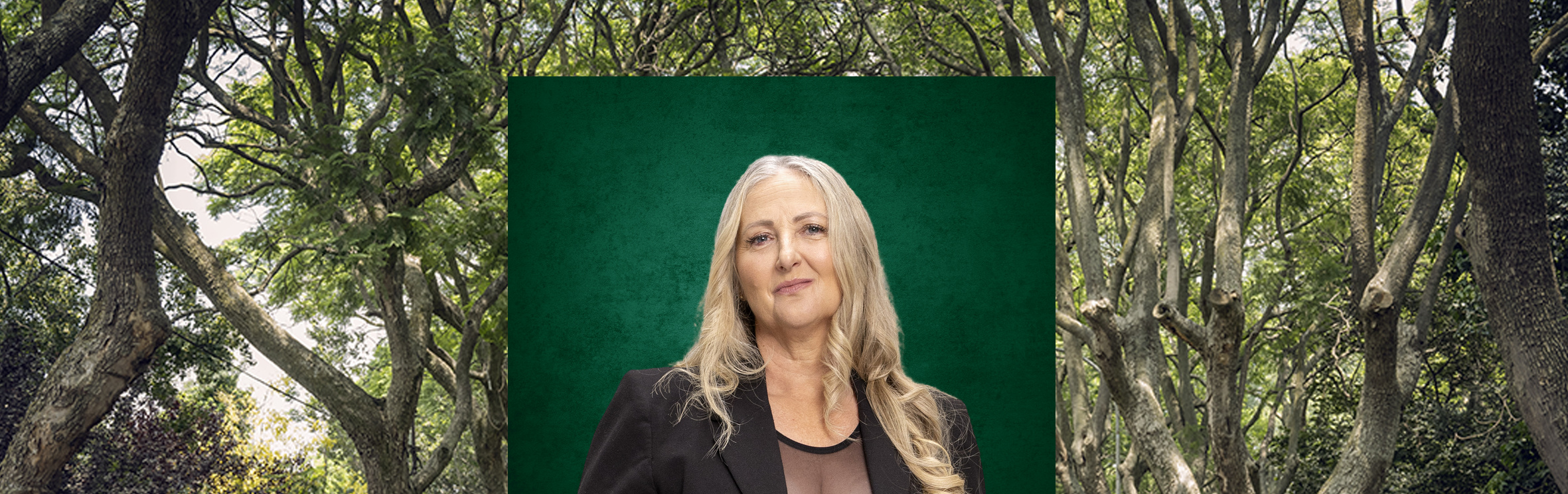 Your local property sales and rentals specialist in Bedford Gardens, Essexwold, Morning Hill