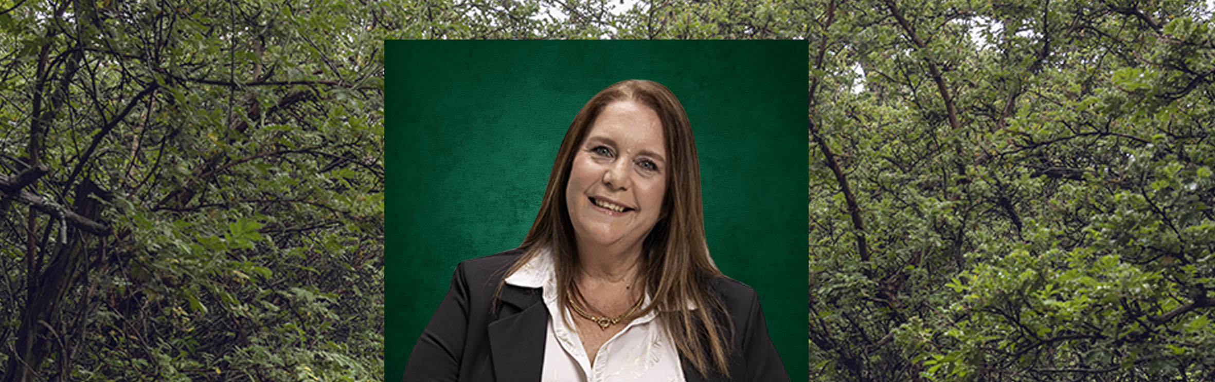 Your local property sales and rentals specialist in Barbeque Downs, Beaulieu, Blue Hills, Carlswald, Crowthorne, Glenferness, Kyalami AH, Kyalami Estates, Kyalami Glen, Kyalami Ridge, Saddlebrook Estate, Summerset, Sun Valley