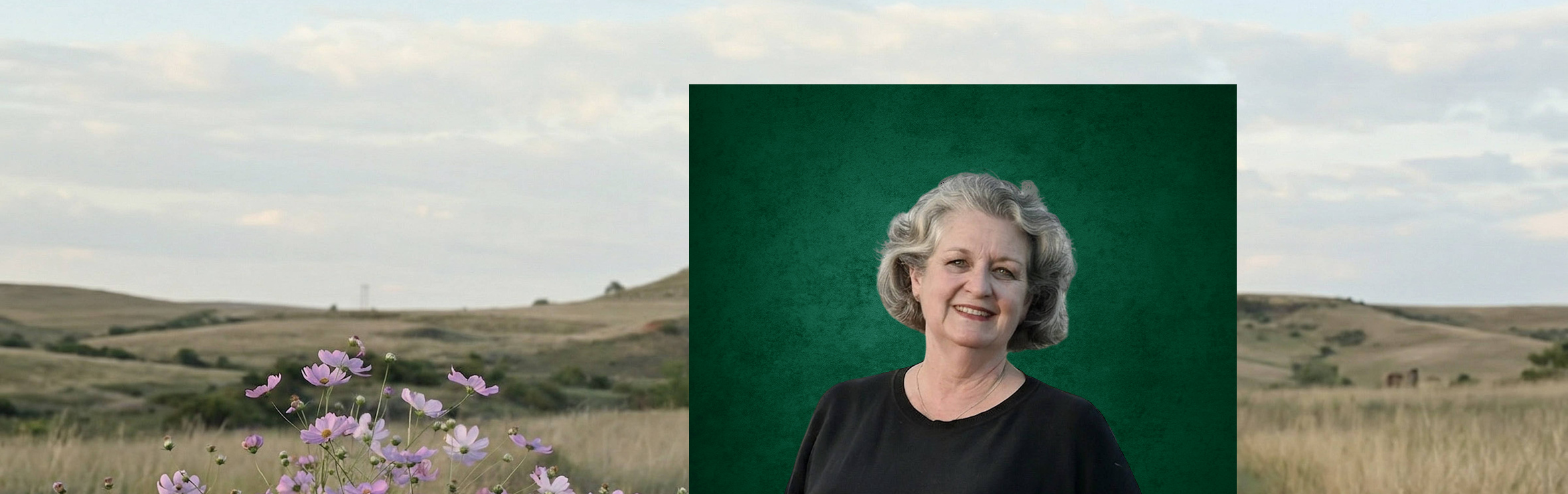 Your local property sales and rentals specialist