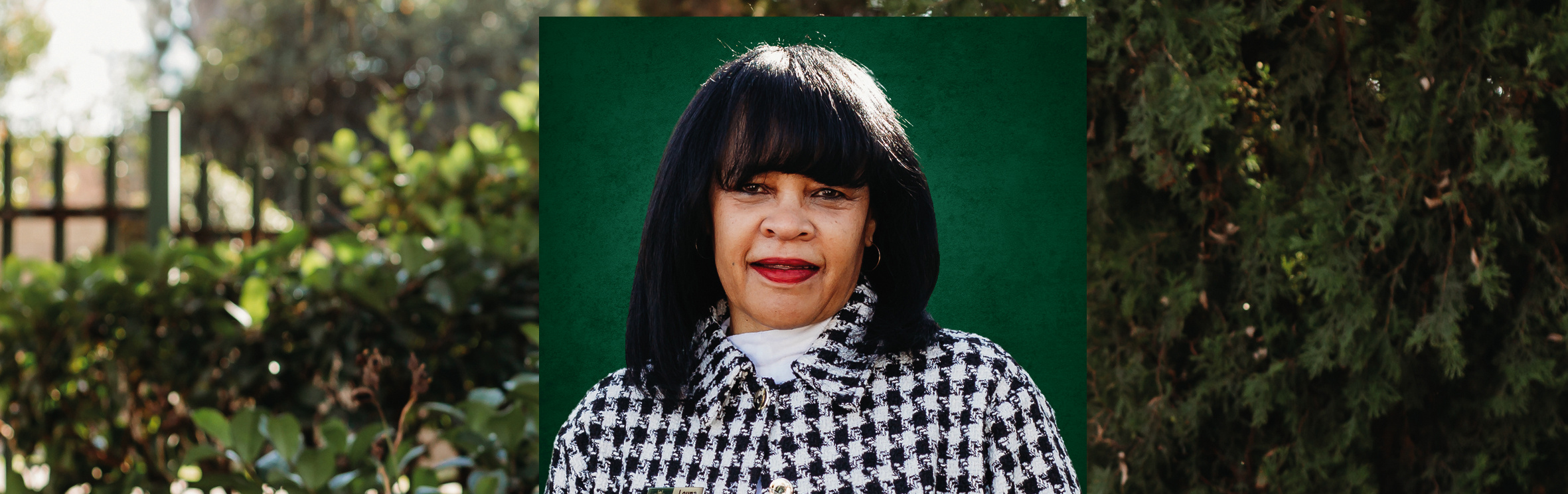 Your local property sales and rentals specialist