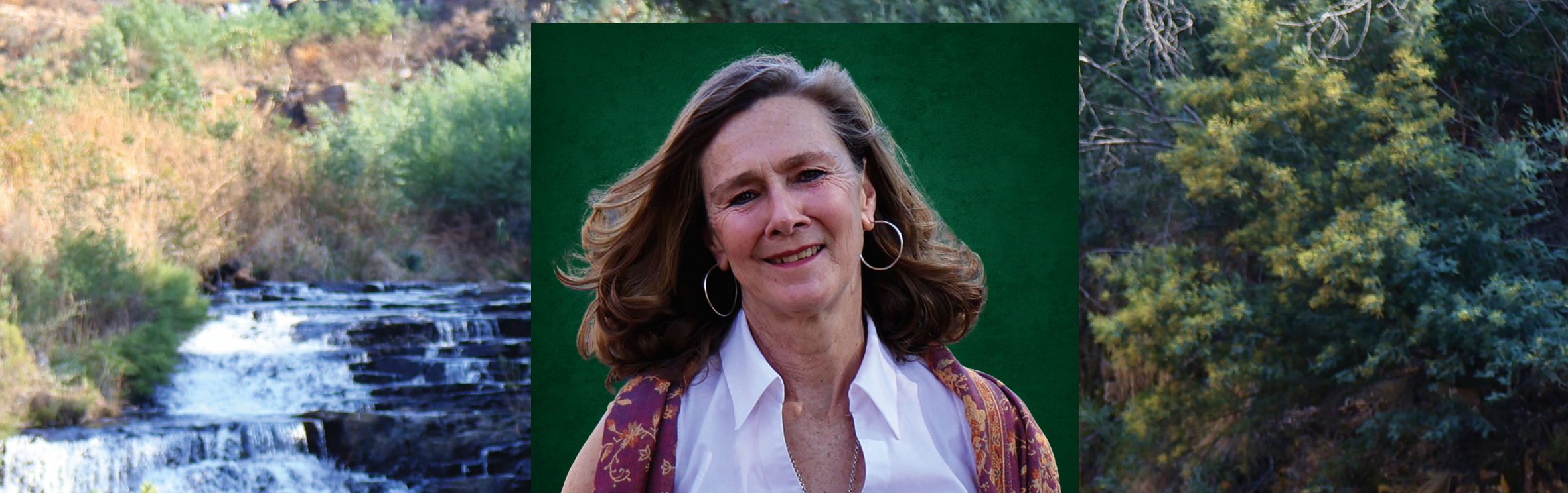 Your local property sales and rentals specialist in Dullstroom, Tonteldoos