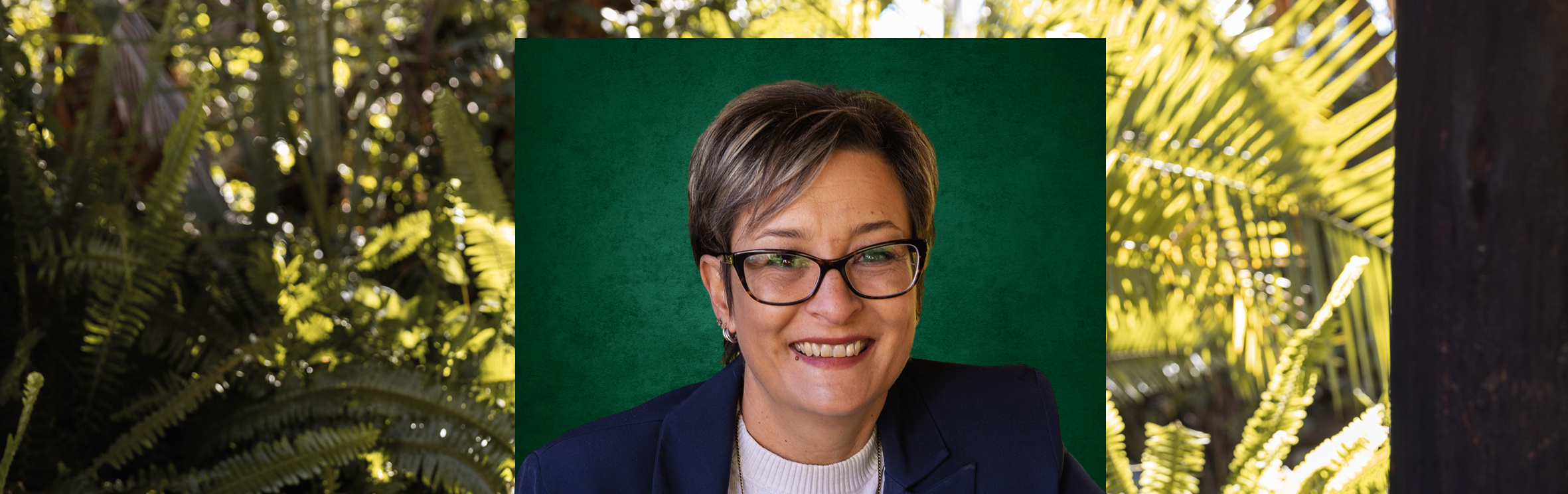 Your local property sales and rentals specialist in Borrowdale, Borrowdale Brooke, Borrowdale West