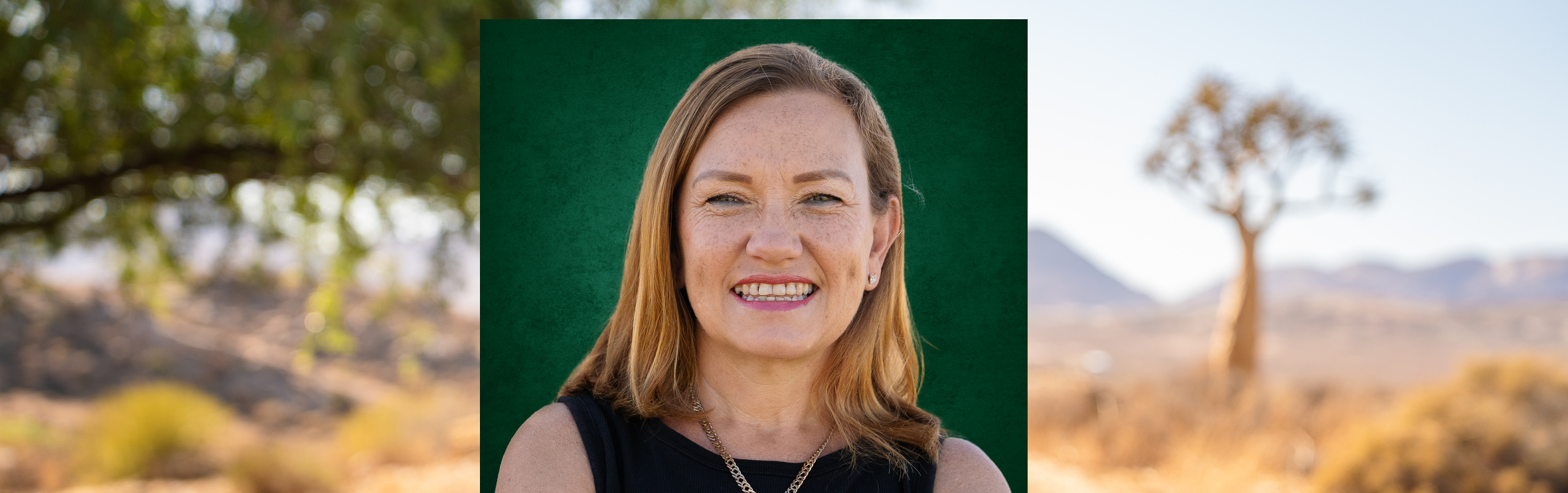 Your local property sales and rentals specialist