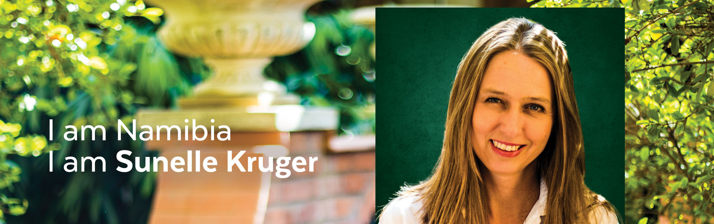 Your local property sales and rentals specialist