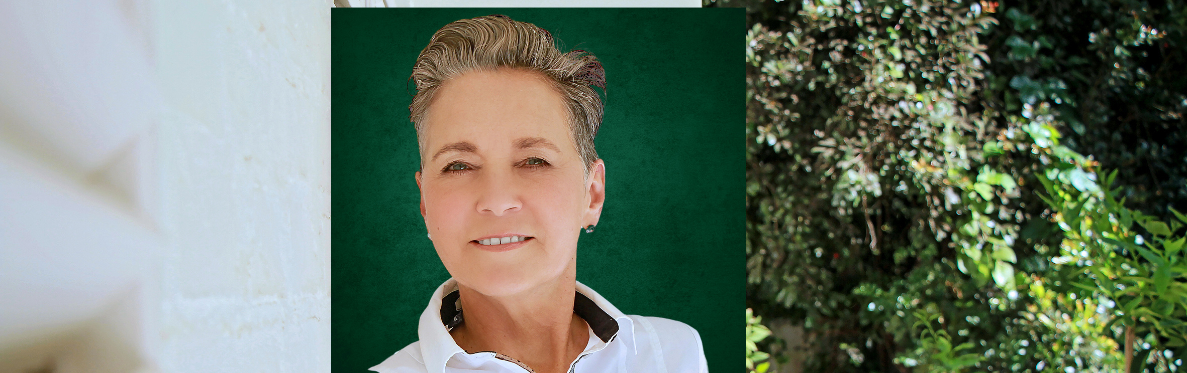 Your local property sales and rentals specialist in Stellenbosch