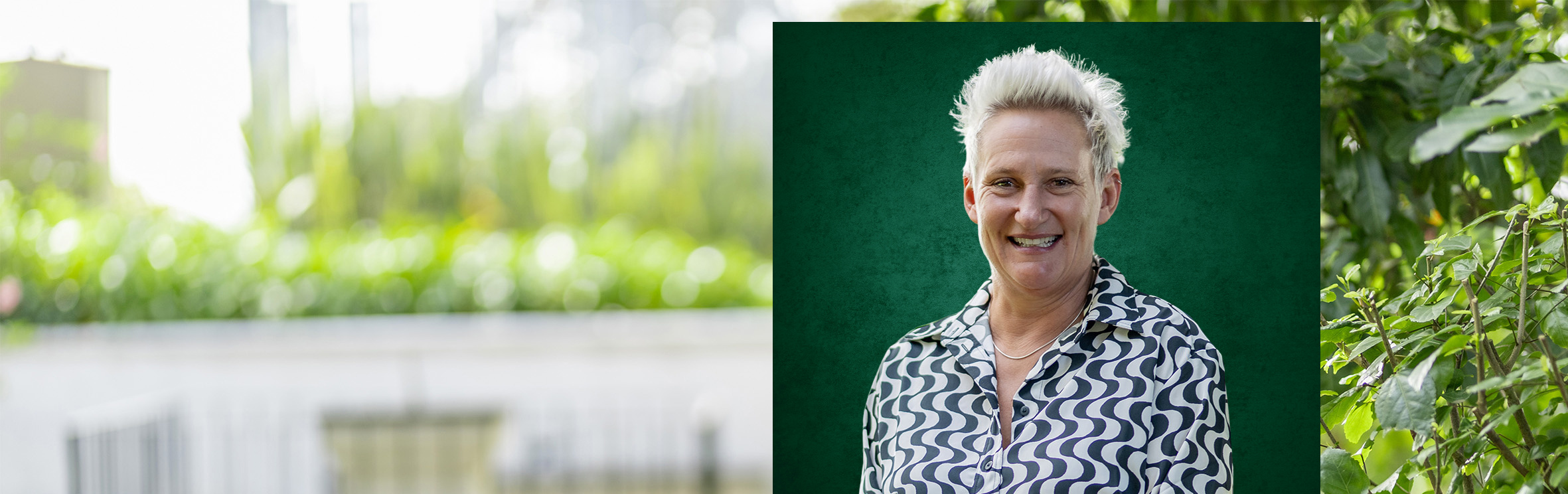 Your local property sales and rentals specialist in Bo-Kaap, Cape Town Central, Devils Peak, Gardens, Higgovale, Highlands Estate, Oranjezicht, Tamboerskloof, University Estate, Vredehoek, Woodstock, Zonnebloem