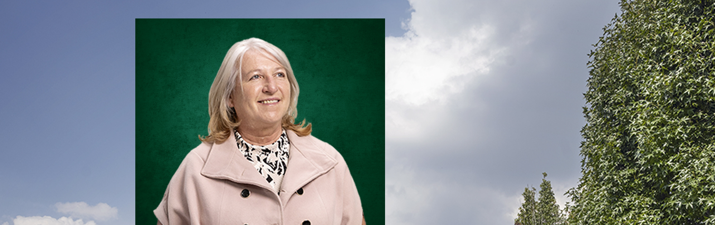 Your local property sales and rentals specialist in Blue Hills, Bridle Park, Carlswald, Carlswald Estate, Carlswald North Estate, Doornrandje, Glen Austin, Glenferness, Laezonia, Mnandi, Montecello Country Estate, Northview Country Estate, President Park, Randjesfontein, Summerset Estate, Sun Valley